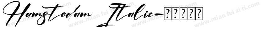Hamstedam Italic字体转换